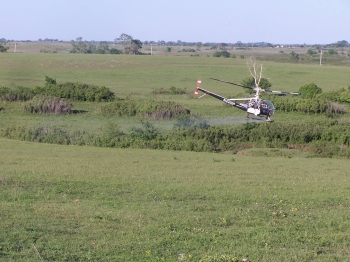 Pasture Spraying